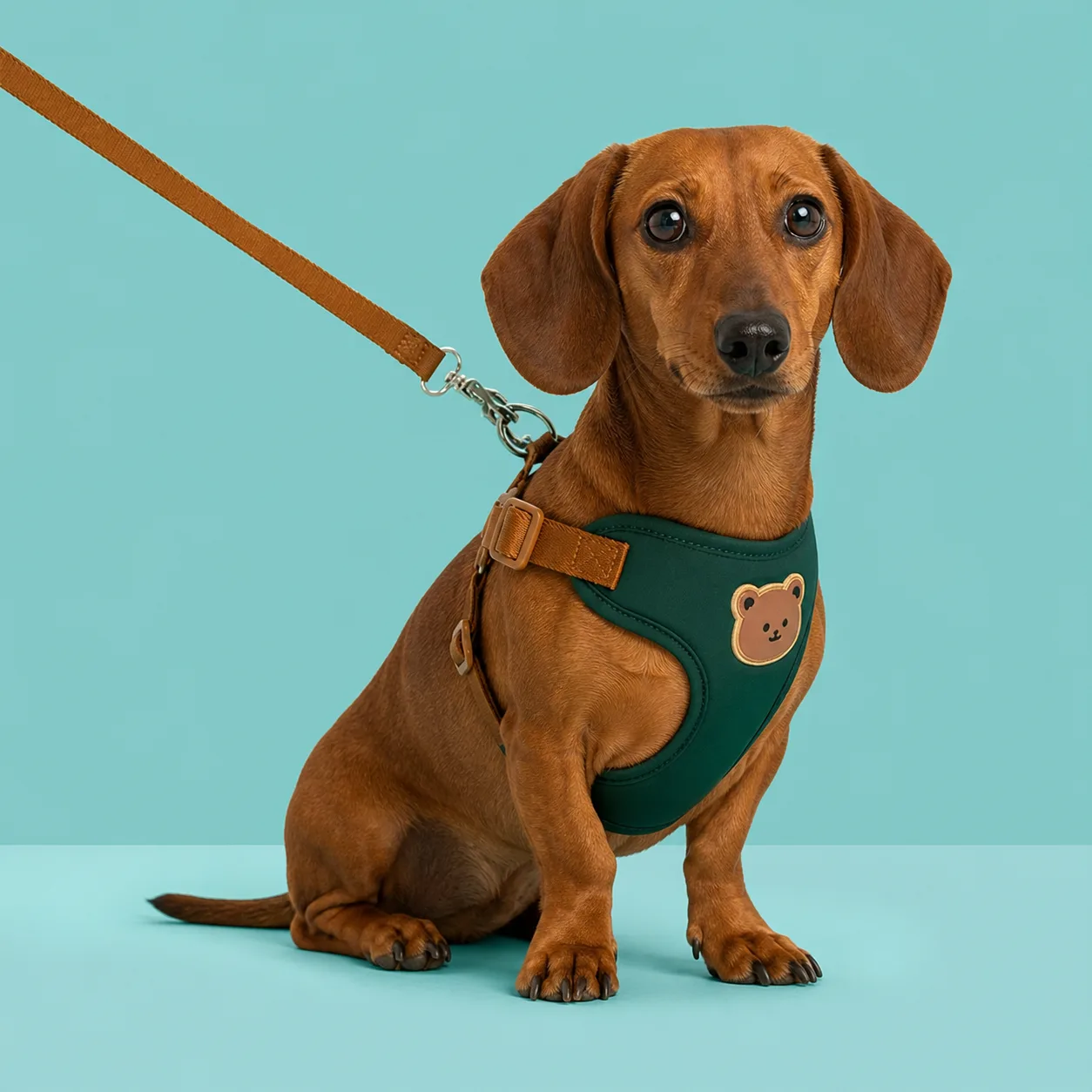 Doxie Adventure Harness and Leash Set