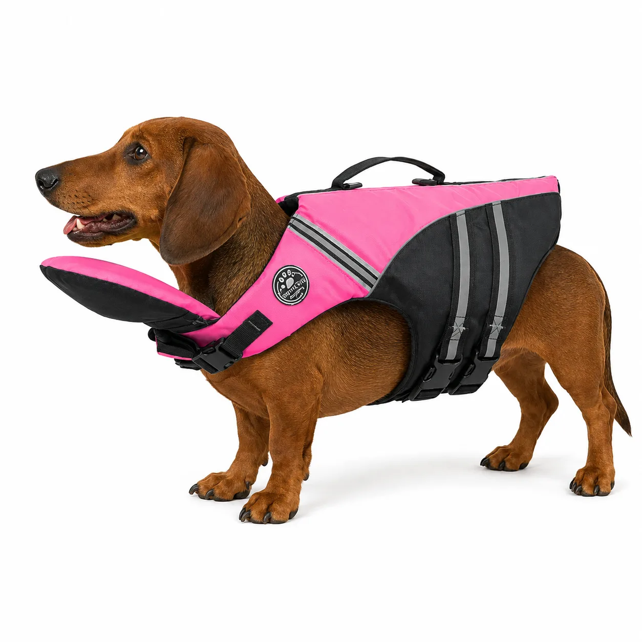 Doxie Splash Swim Support Vest