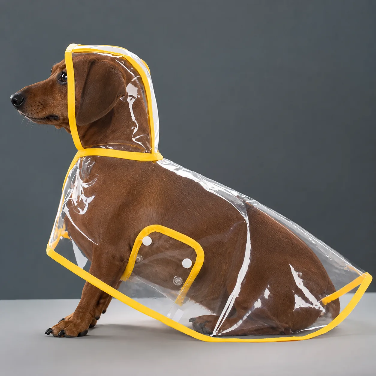 Pet Supplies Dog Transparent Plastic Raincoat